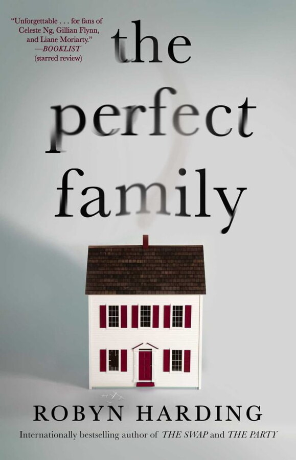 The Perfect Family (Paperback)