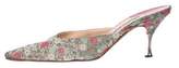 Thumbnail for your product : Manolo Blahnik Canvas Printed Mules