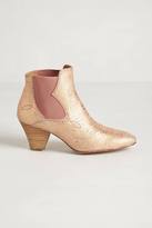 Thumbnail for your product : Hoss Intropia Jarocho Booties