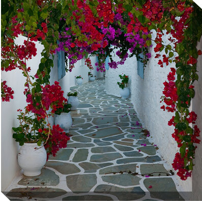 August Grove Bougainvillea Path Outdoor Canvas Art