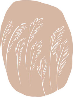 Wildon Home Simple Pampas Grass Drawing - Wrapped Canvas Print