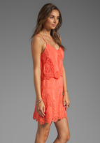 Thumbnail for your product : Dolce Vita Jeralyn Petticoat Embroidery Mini Dress