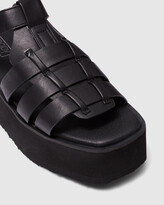 Thumbnail for your product : Therapy Women's Black Sandals - Lilo