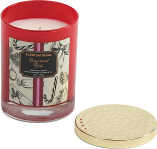 TJMAXX 11Oz Peppermint Bark Scented Candle