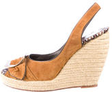 Thumbnail for your product : Roger Vivier Espadrille Wedges