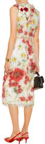Thumbnail for your product : Dolce & Gabbana Floral-appliqued Fil Coupe Midi Dress