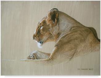 Parker Trademark Fine Art Lioness by Ron Parker, 35x47-Inch