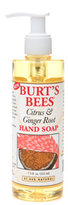 Thumbnail for your product : Burt's Bees Hand Soap, Citrus and Ginger