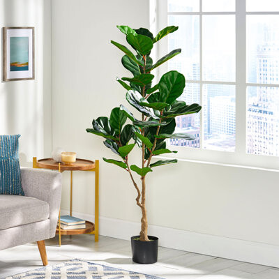 150Cm Artificial Fiddle Leaf Fig Plant - Graceful Indoor Ornament, , Easy Maintenance, , 24 X 59, Iron + Plastic For A Fashionable Decoration, Low 24I