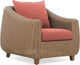 RST Brands Luminis Club Chairs (Set Of 2)