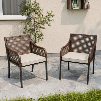 EAGLE PEAK Outdoor Wicker Dining Chairs with Cushion Set of 2, Patio Wicker Chairs with Metal Frame