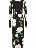 Thumbnail for your product : Dolce & Gabbana Rose Print Cut-Out Midi Dress
