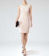 Thumbnail for your product : Reiss Lansky LACE NECKLINE DRESS FAINT ROSE