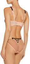 Thumbnail for your product : Mimi Holliday Bisou Bisou Zoo Low-Rise Silk-Blend Tulle And Lace Briefs