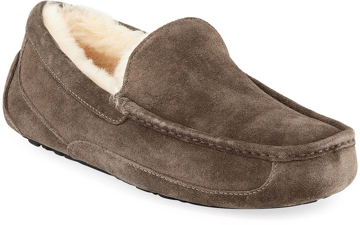 ascot uggpure