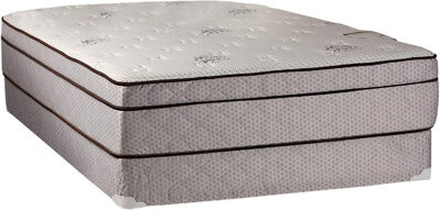 Alwyn Home Remona 13'' Plush Innerspring Mattress and Box Spring