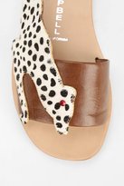 Thumbnail for your product : Jeffrey Campbell Jungle Sandal