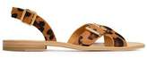 Thumbnail for your product : Just Cavalli Buckled Leopard-Print Pony-Hair Sandals