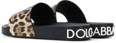 Thumbnail for your product : Dolce & Gabbana Leopard Print Slides
