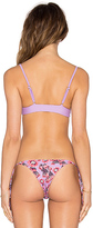 Thumbnail for your product : Tori Praver Swimwear Hola Bikini Top