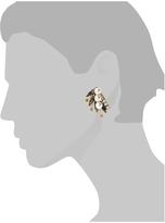 Thumbnail for your product : Elizabeth Cole Halley Earings