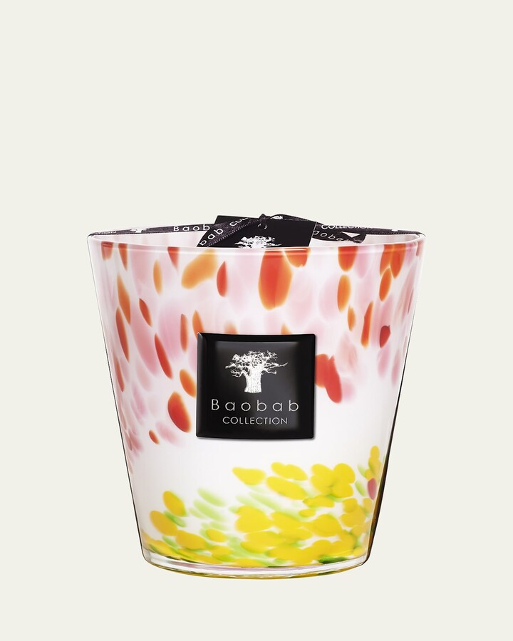 Baobab Collection Max 16 Eden Garden Scented Candle