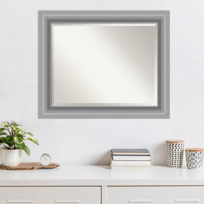 Laurel Foundry Modern Farmhouse Crowell Plastic Framed Wall Mounted Accent Mirror in Silver
