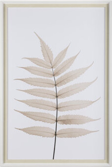 Gracie Oaks Limber Leaves by Assaf Frank a Framed Art Print Matted under Glass