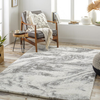 https://img.shopstyle-cdn.com/sim/76/fa/76fa1d8055b7607abae5630f3f8a53e7_xlarge/autherine-abstract-machine-woven-area-rug-in-ivory-charcoal.jpg