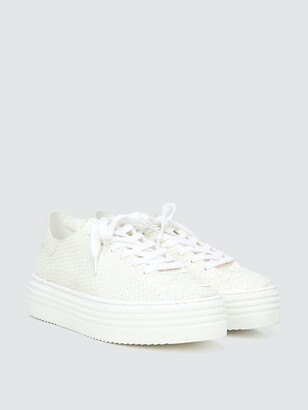 pippy lace up sneaker
