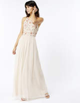 Thumbnail for your product : Monsoon Emma Embellished Maxi Dress