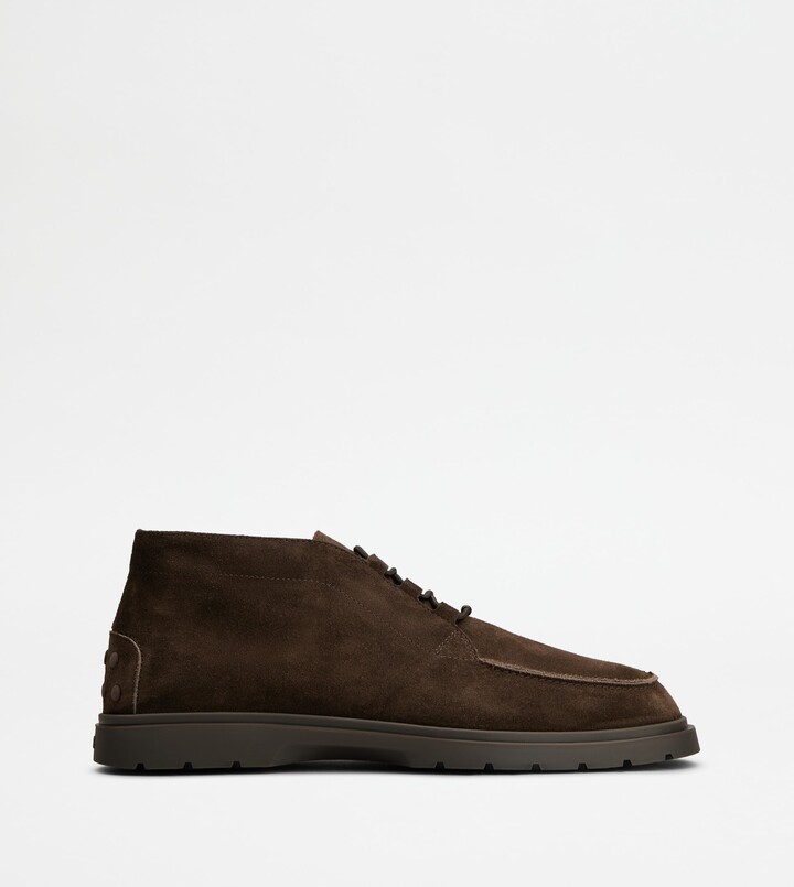 Tod's Desert Boots in Suede