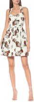 Thumbnail for your product : Dolce & Gabbana Printed cotton minidress