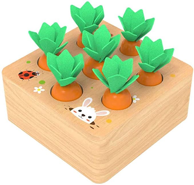 Ancaixin Wooden Toys for 1 Year Old Boys and Girls Montessori Shape Size Sorting Puzzle Carrots Harvest Developmental Gifts for Fine Motor Skill (Carrots Harvest)