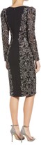 Thumbnail for your product : Tadashi Shoji Embroidered Lace Long Sleeve Dress