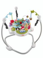 Thumbnail for your product : Fisher-Price Discover 'n Grow Jumperoo