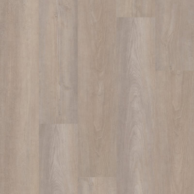 Shaw Equinox Plus 20 4.4-mm T x 7-in W x 48-in L Luxury Vinyl Plank Flooring
