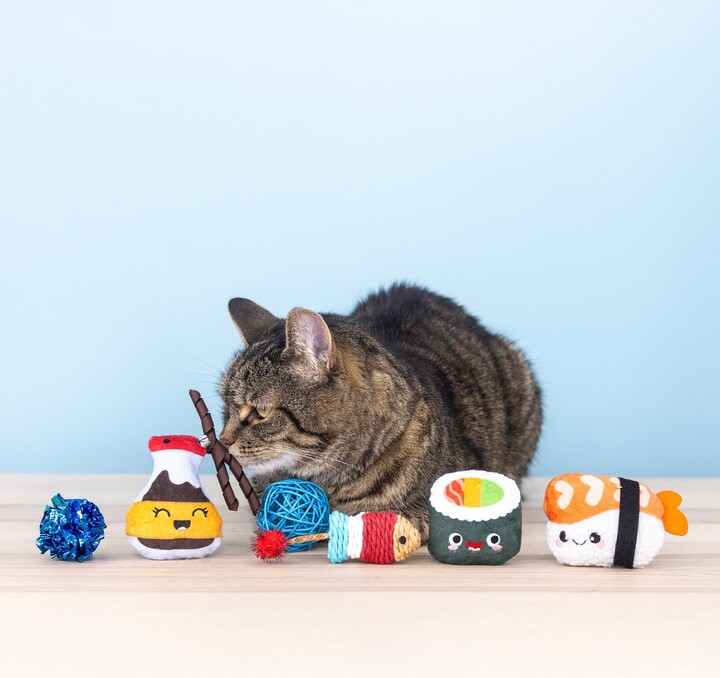 Fringe Studio True Soymates Cat Toy, Multi, Set of 6