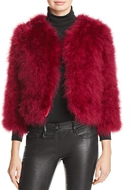 jocelyn feather jacket