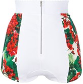 Thumbnail for your product : Dolce & Gabbana Floral Print Bikini Bottoms