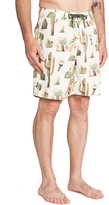 Thumbnail for your product : Brixton Plank Trunk