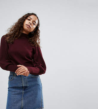 ASOS Petite PETITE Jumper with Full Sleeves and Roll Neck