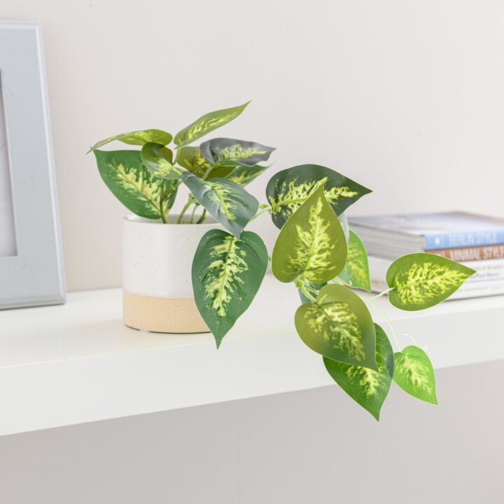 Dunelm Artificial Trailing Devil's Ivy in Ceramic Pot White ShopStyle