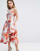 Thumbnail for your product : Coast Aurora Coral Jacquard Dress