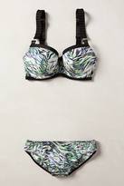 Thumbnail for your product : Stella McCartney Tivona Bikini