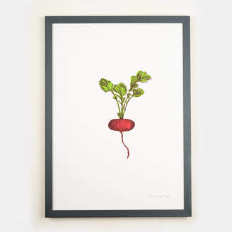 Lottie Day Red Radish Vegetable Framed Wall Art