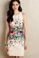 Thumbnail for your product : Anthropologie Maeve Tea Petite Garden Dress