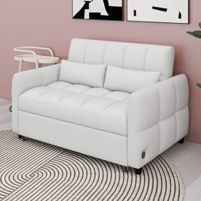 Latitude Run Loveseat Sofa Pull-Out Sofa Bed Tufted Sleeper Sofa With An Adjustable Backrest Three USB Ports And Two Lumbar Pillows