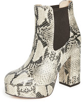 Thumbnail for your product : Sam Edelman Abella Booties