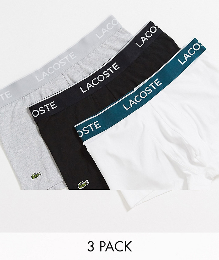 lacoste underwear size chart